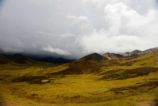 西藏米拉山景物图片
