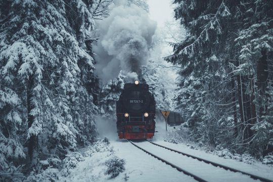 风雪中的列车图片