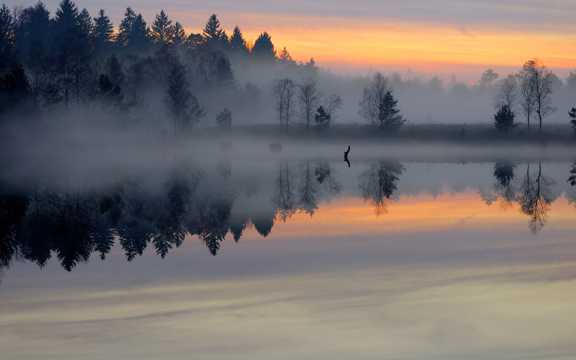 朝阳下的湖泊图片