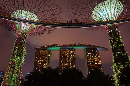 新加坡滨海湾花园景物图片