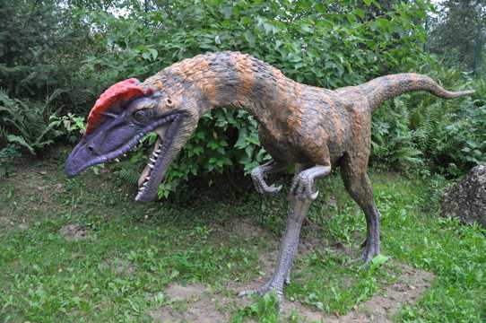 白垩纪期间的恐龙模型图片