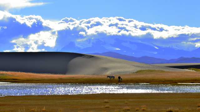 西藏帕羊景物图片