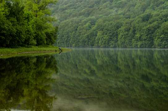树林里的江河景物图片