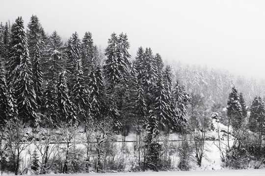 冬天的雪山景观图片