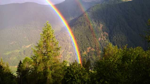 丛林中雨后的彩虹图片