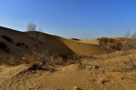 内蒙古鄂尔多斯恩格贝大漠景致图片