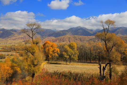 青海黑河大峡谷的秋天景物图片