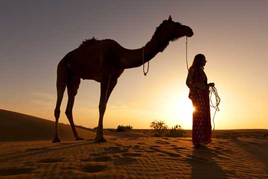 荒漠骆驼徒步图片
