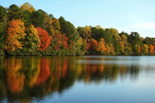 秋日河流树木景观图片