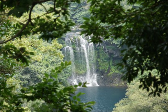 韩国济州岛天地渊瀑布自然景致图片