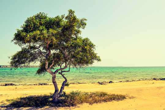 塞浦路斯海滨光景图片