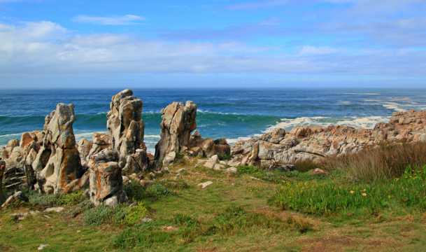 南非的海岸图片