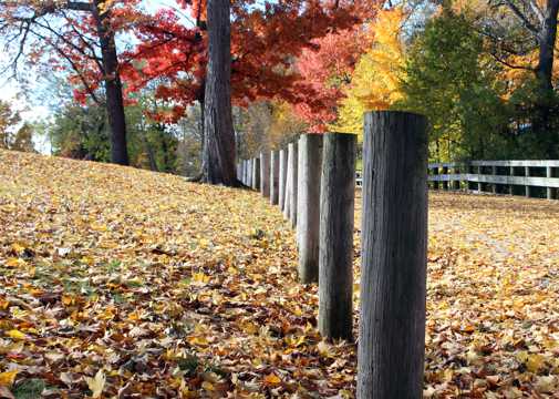 秋季的公园景色图片