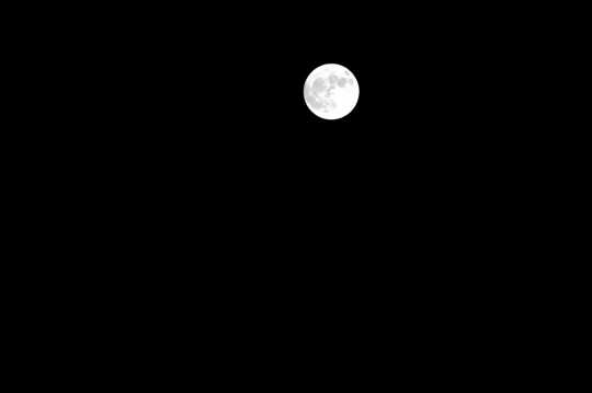 夜晚的圆月图片