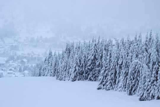 冬天积雪景观图片