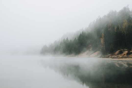 早晨的薄雾图片