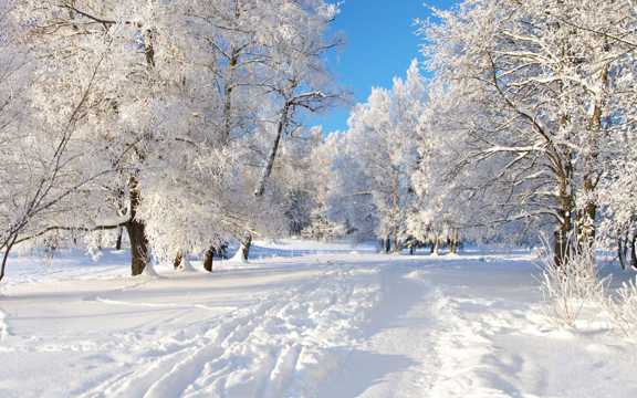 唯美的冬天雪景