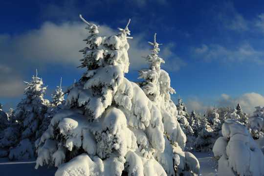 吉林延吉和龙老岭雪景图片