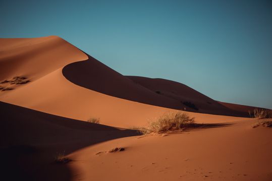 荒芜的大漠景物图片