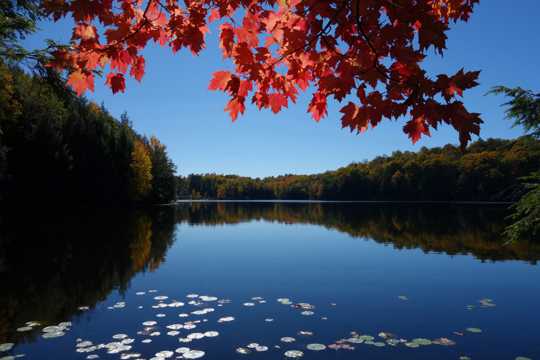 秋天湖水景观图片